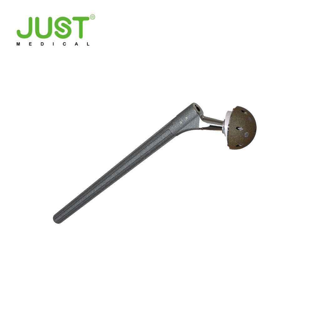 RS Cementless Revision stem